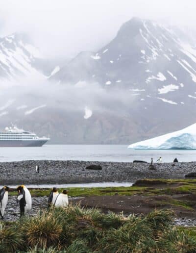 En route to the sub-Antarctic islands