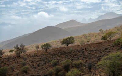 Les Canaries, Madère et le Cap-Vert