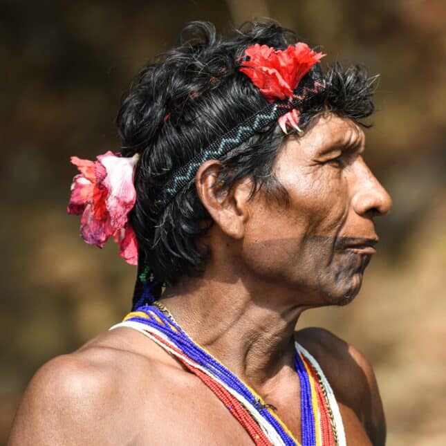 Portrait de profil d’un homme Emberá, Darien, Panama