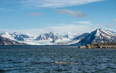 Travelling in Norway, between fjords, northern lights and the far north