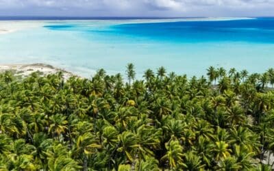 Une nouvelle odyssée au cœur du Pacifique