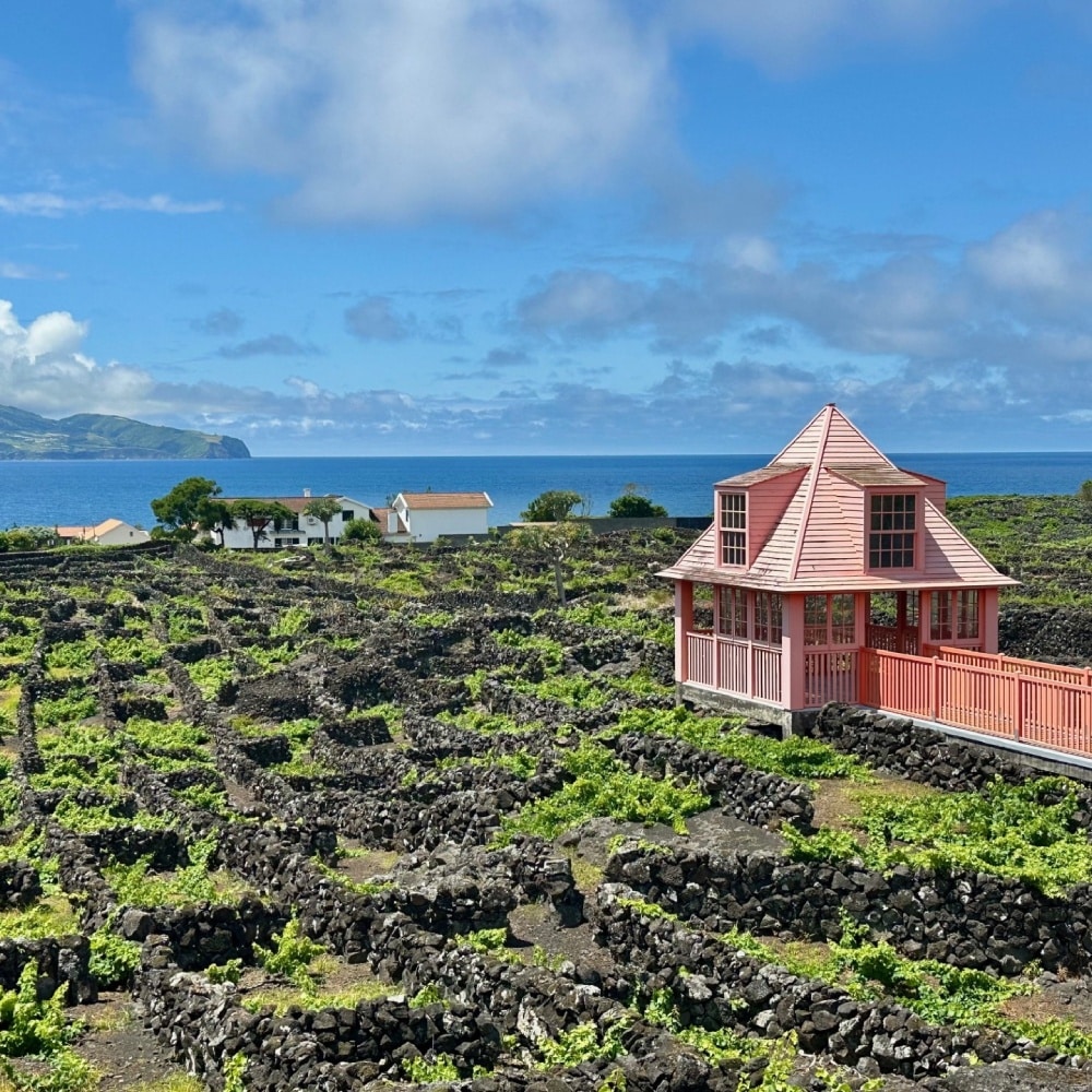 murets de roches volcaniques protégeant les vignes à Pico, aux Açores