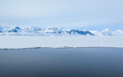 Travel to Antarctica: explore the shores of the White Continent