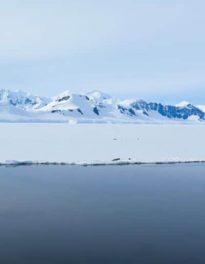 Travel to Antarctica: explore the shores of the White Continent