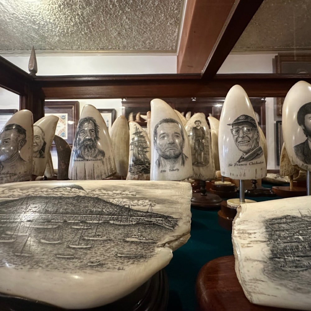exposition de scrimshaw au Peter Café Sport à Horta, île de Faial, Açores