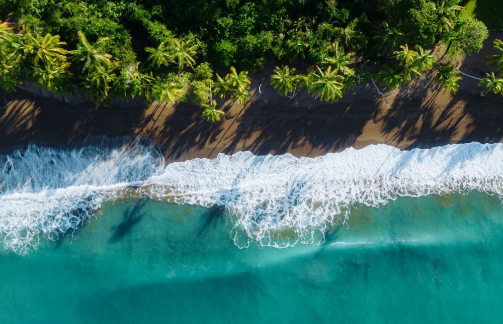 vue aérienne de plage et de forêt tropicale dans la baie de Drake, péninsule d’Osa, Costa Rica