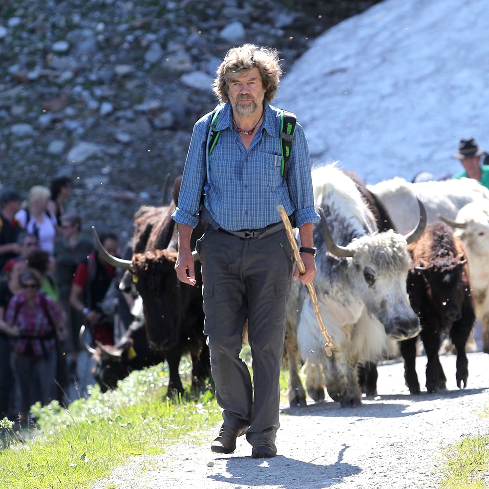 Reinhold Messner walking in the mountains with a herd of yaks. 