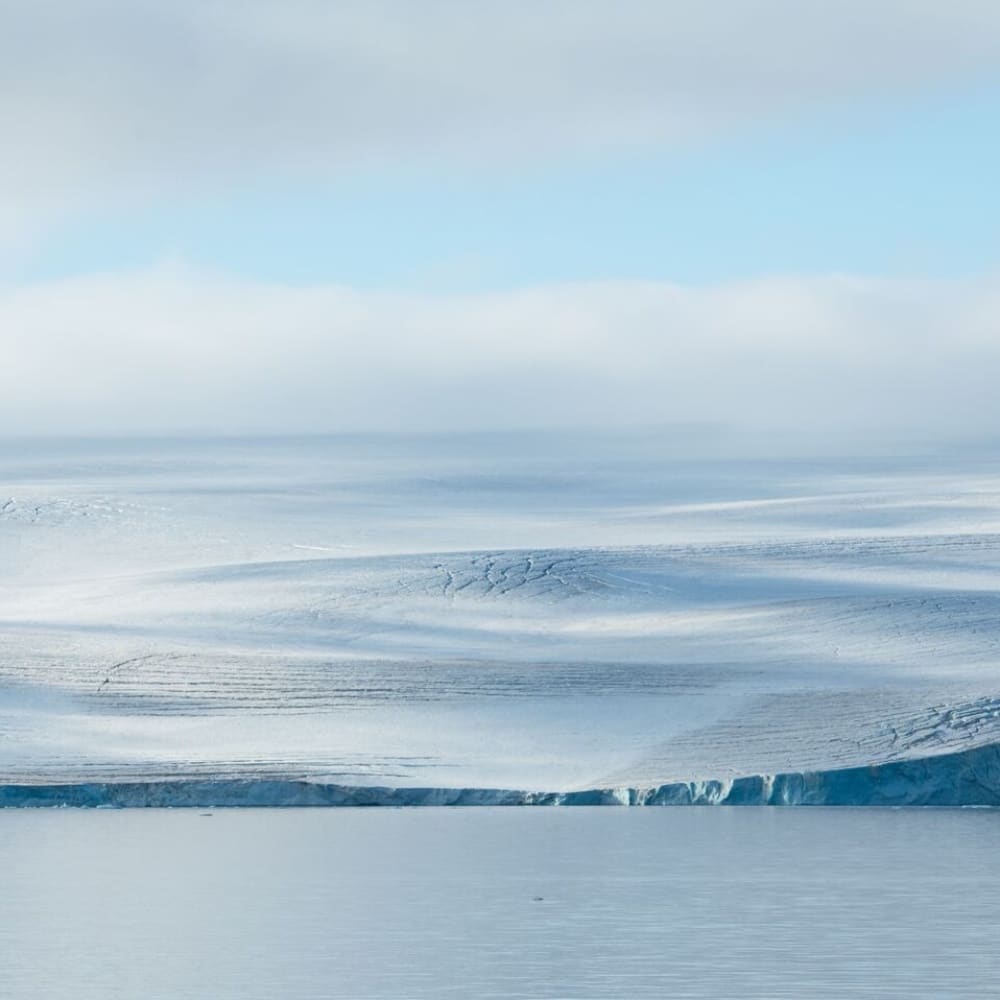 îles Paulet, en mer de Weddell, en Antarctique