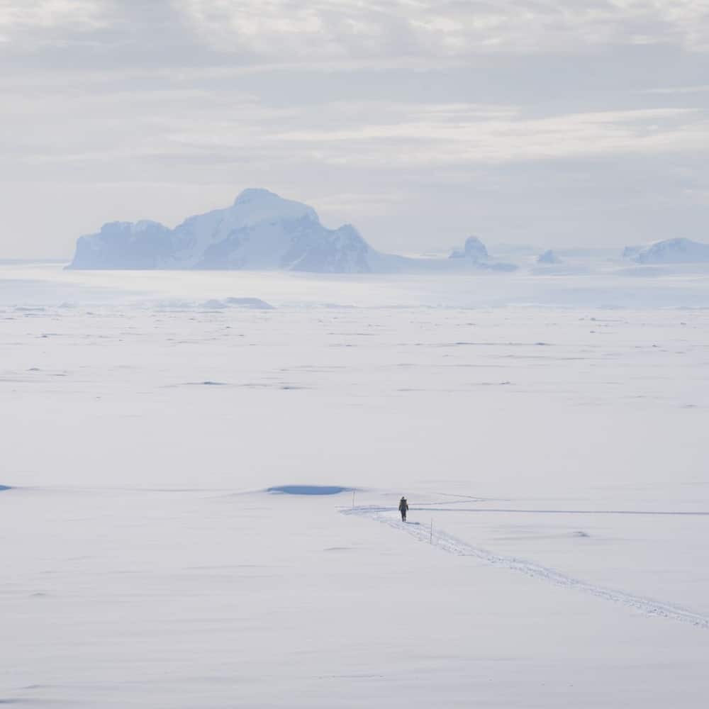 Silhouette face aux montagnes enneigées de la baie Marguerite, Antarctique